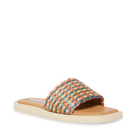 Multicolor Steve Madden Leigh Women's Slides | PH 1830ACT